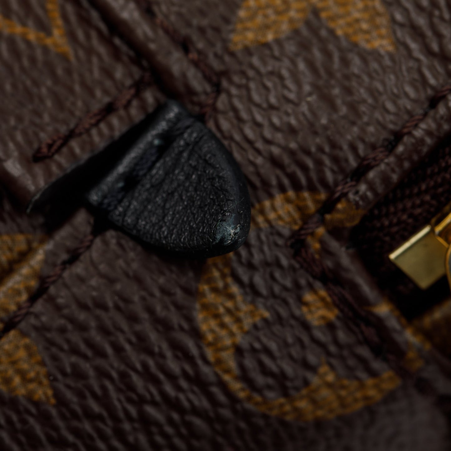 Louis Vuitton 2020 Monogram Palm Springs Mini Backpack