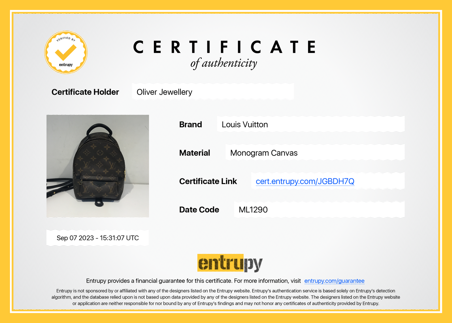 Louis Vuitton 2020 Monogram Palm Springs Mini Backpack