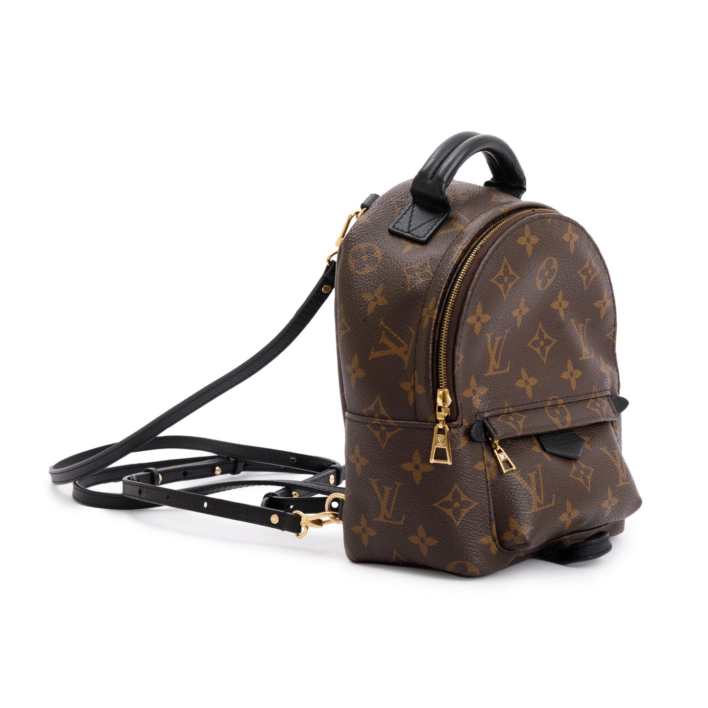 Louis Vuitton 2020 Monogram Palm Springs Mini Backpack