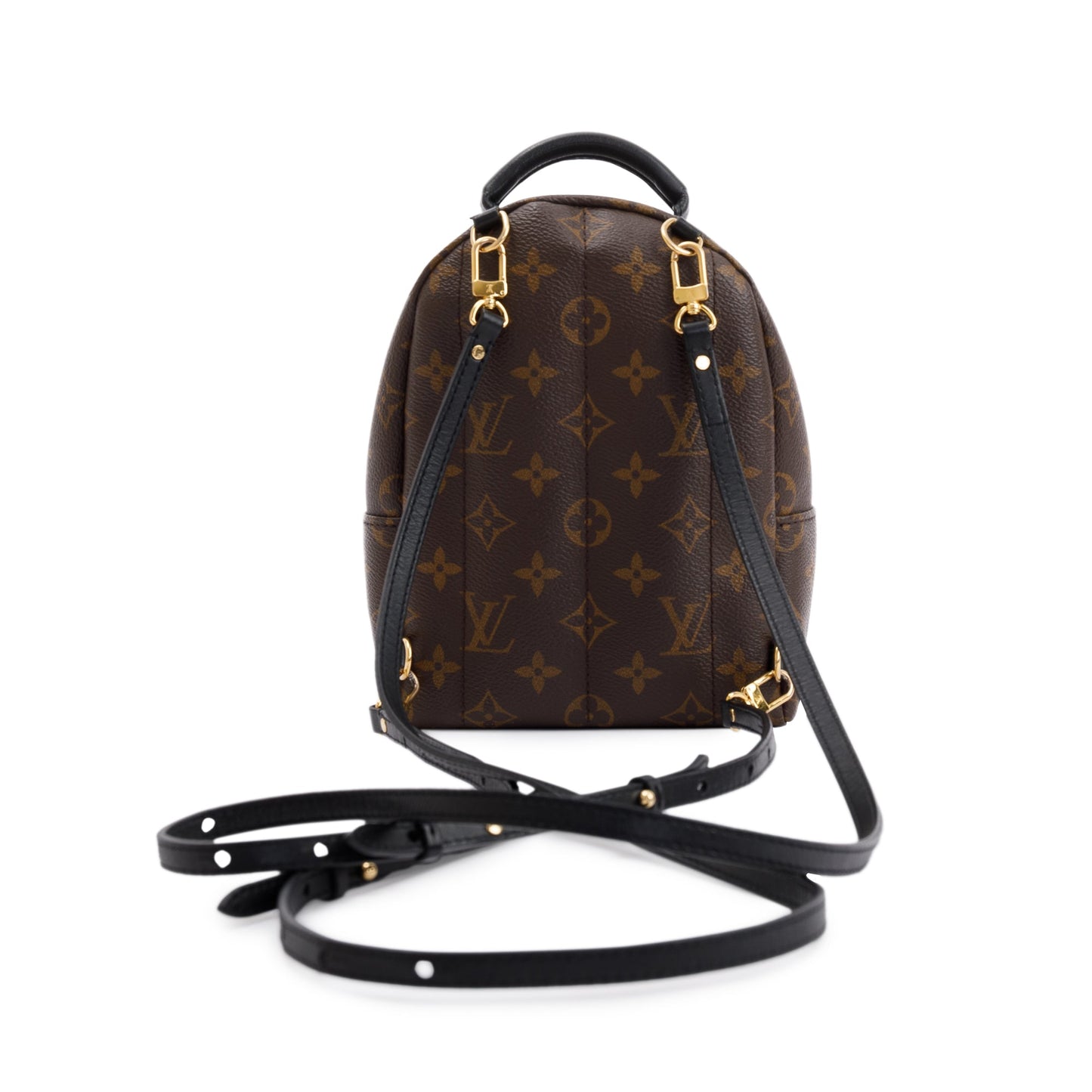 Louis Vuitton 2020 Monogram Palm Springs Mini Backpack