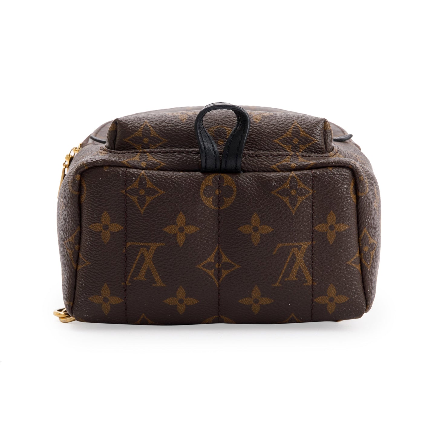 Louis Vuitton 2020 Monogram Palm Springs Mini Backpack
