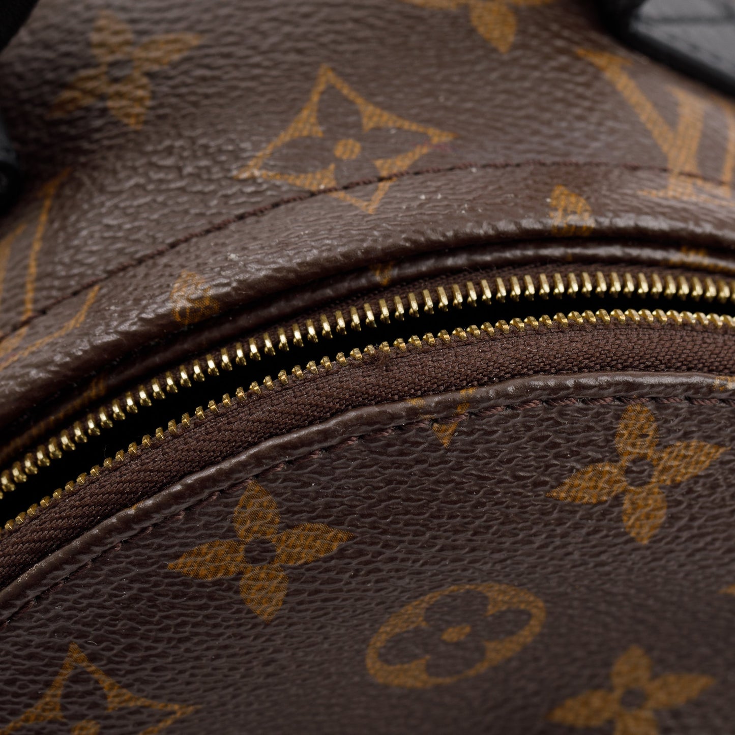 Louis Vuitton 2020 Monogram Palm Springs Mini Backpack