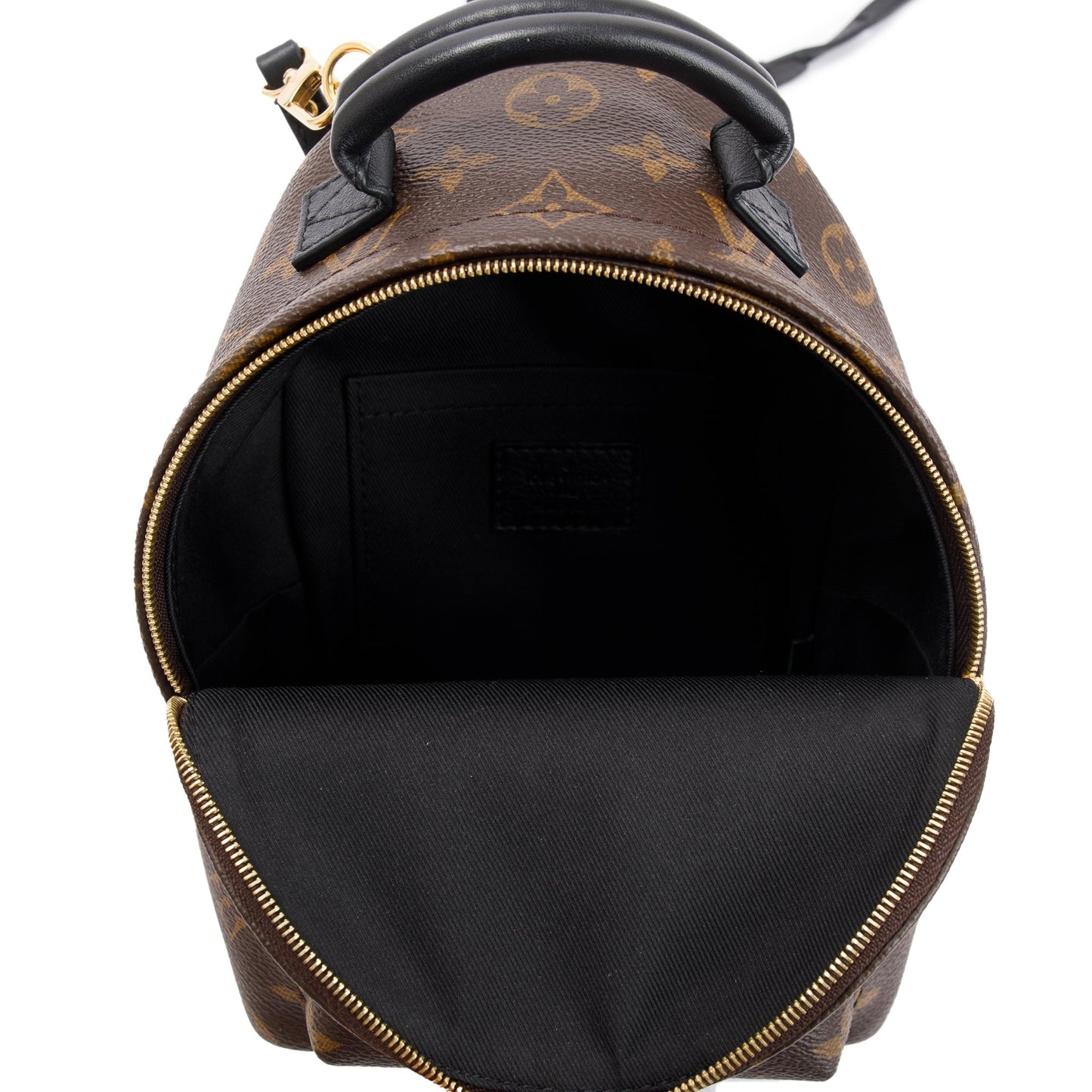 Louis Vuitton 2020 Monogram Palm Springs Mini Backpack