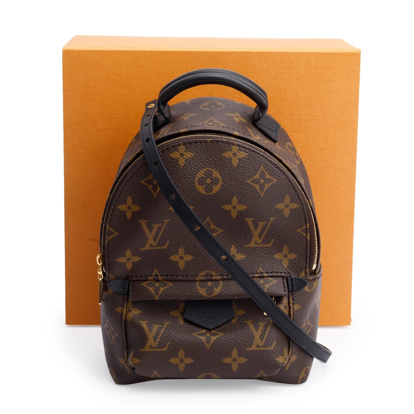 Louis Vuitton 2020 Monogram Palm Springs Mini Backpack