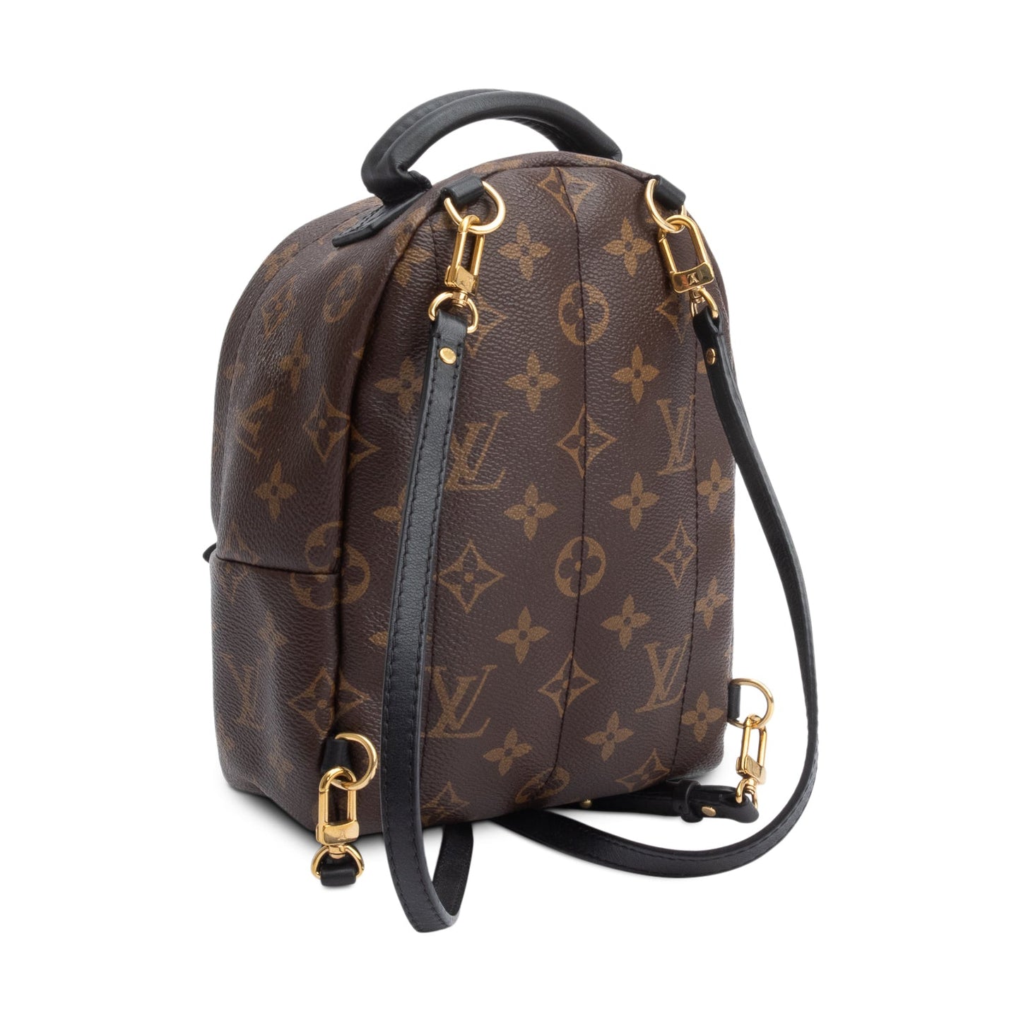 Louis Vuitton 2020 Monogram Palm Springs Mini Backpack