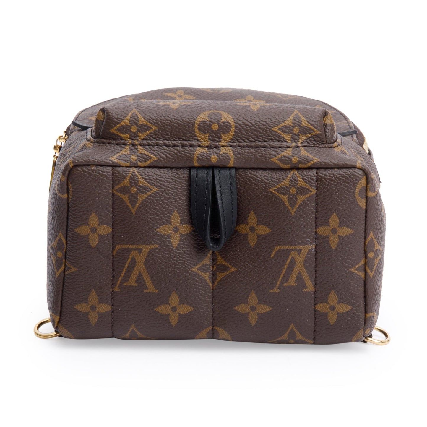 Louis Vuitton 2020 Monogram Palm Springs Mini Backpack