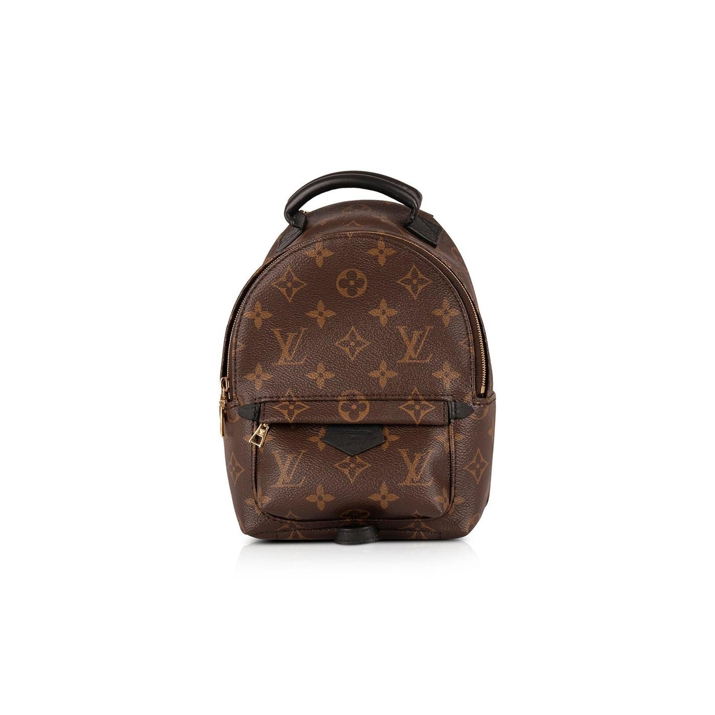 Louis Vuitton 2020 Monogram Palm Springs Mini Backpack
