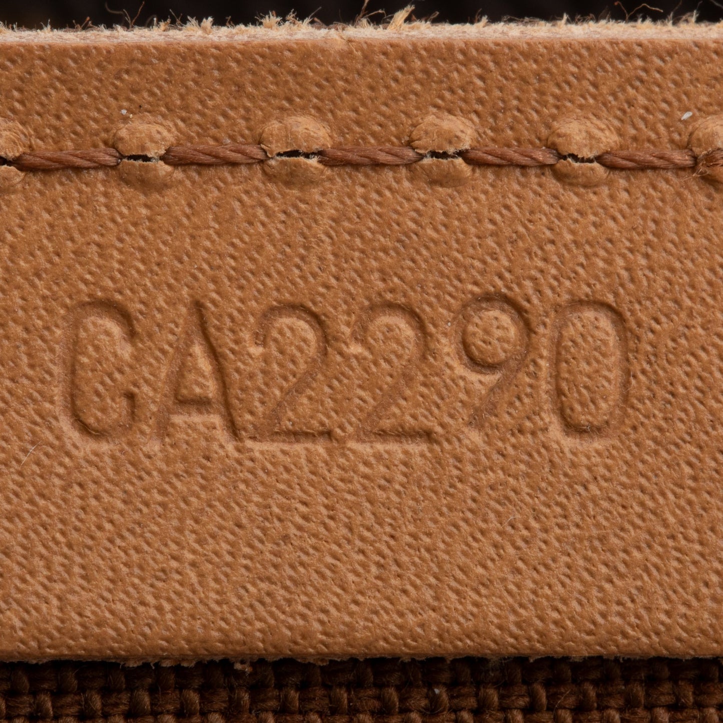 Louis Vuitton 2020 Monogram Petit Sac Plat