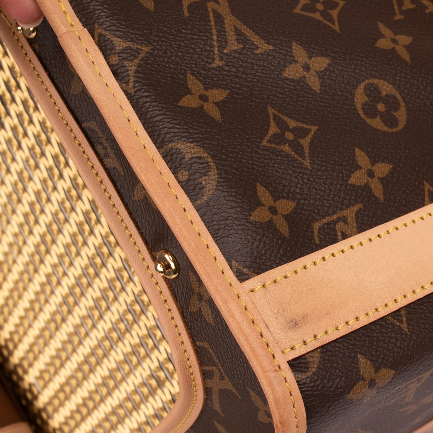 Louis Vuitton 2020 Monogram Sac Chien 50 Pet Carrier