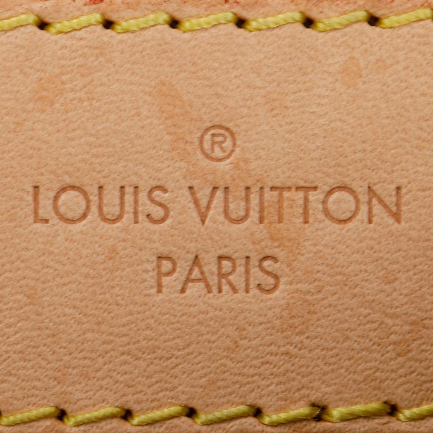 Louis Vuitton 2021 Monogram Artsy MM
