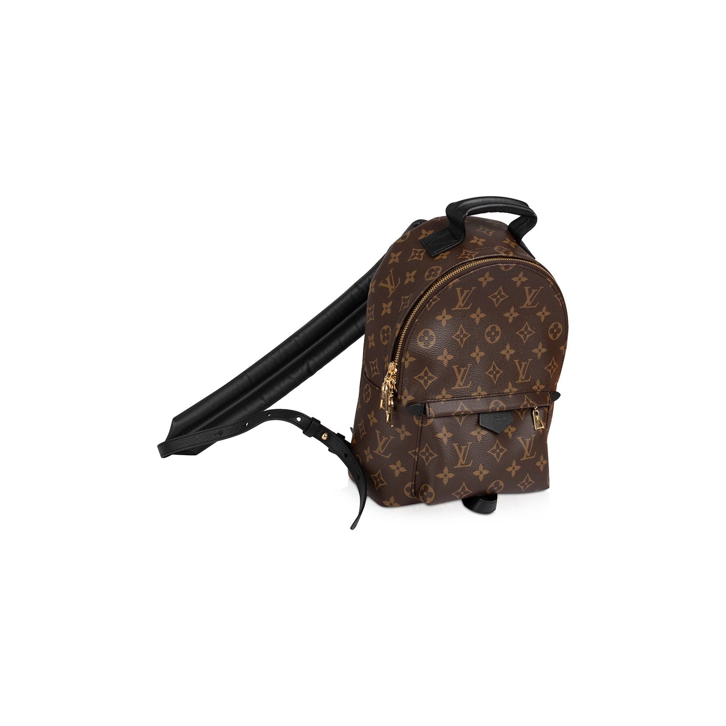 Louis Vuitton 2021 Monogram Palm Springs Backpack PM