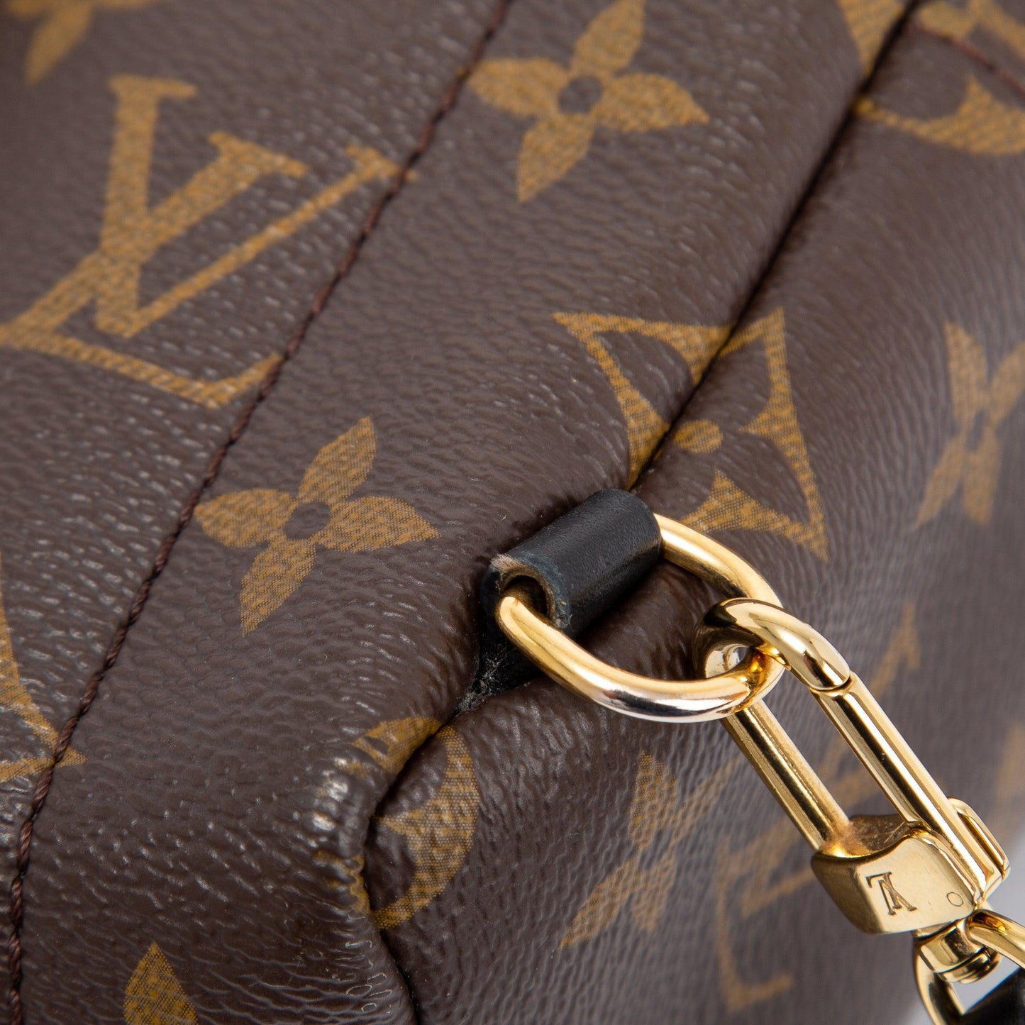 Louis Vuitton 2021 Monogram Palm Springs Mini Backpack