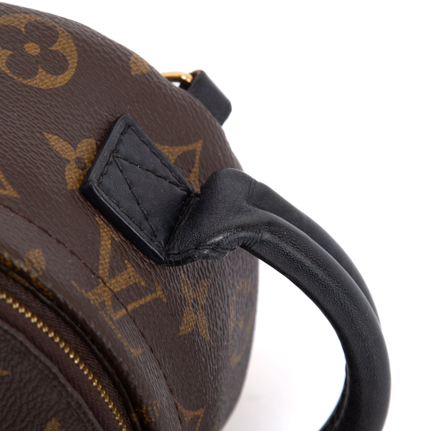 Louis Vuitton 2021 Monogram Palm Springs Mini Backpack