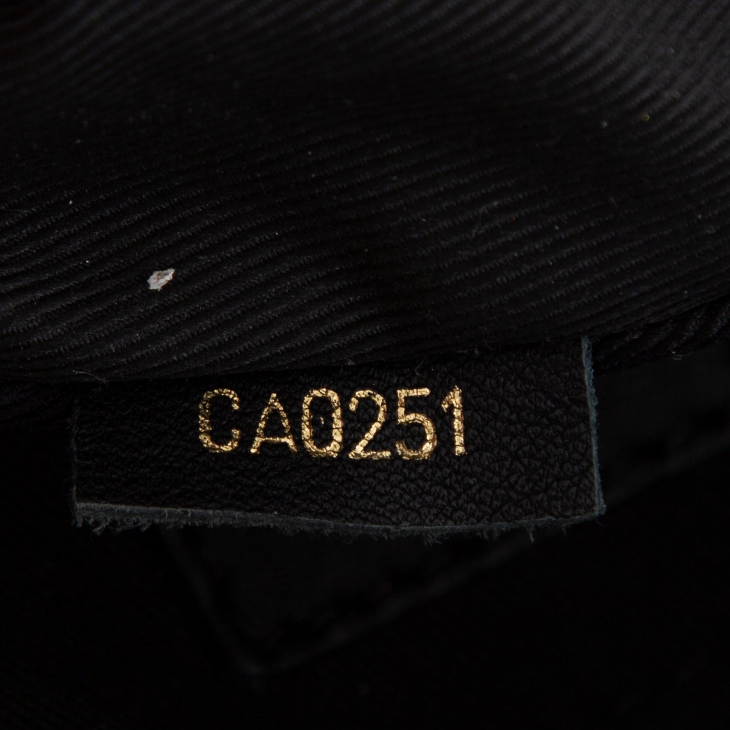 Louis Vuitton 2021 Monogram Palm Springs Mini Backpack