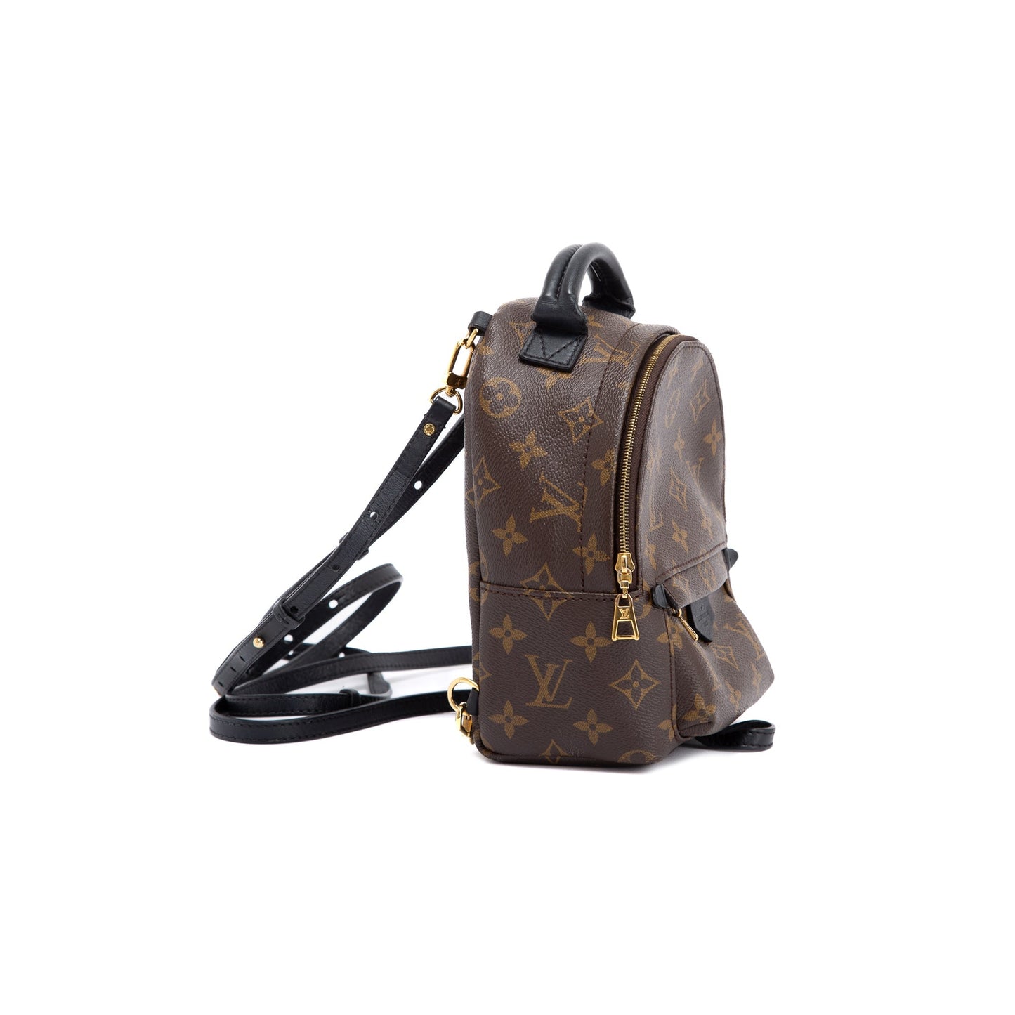 Louis Vuitton 2021 Monogram Palm Springs Mini Backpack