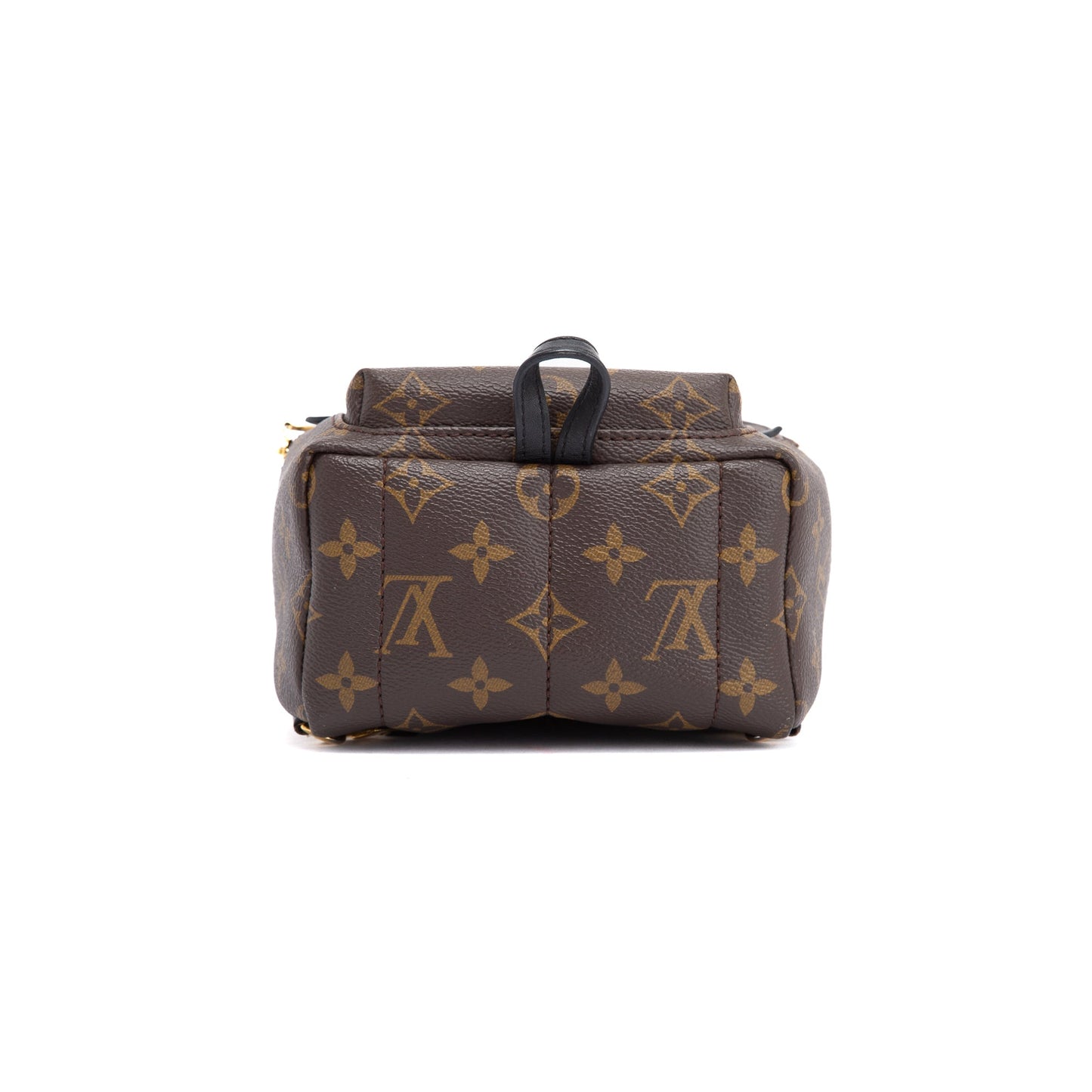 Louis Vuitton 2021 Monogram Palm Springs Mini Backpack