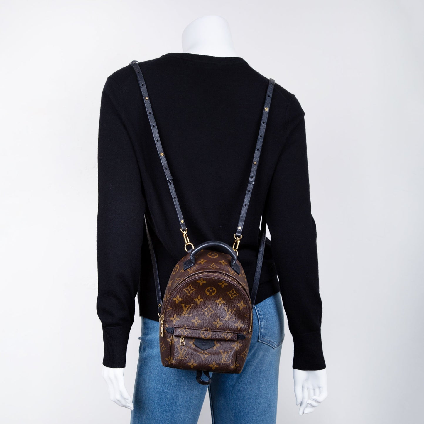 Louis Vuitton 2021 Monogram Palm Springs Mini Backpack