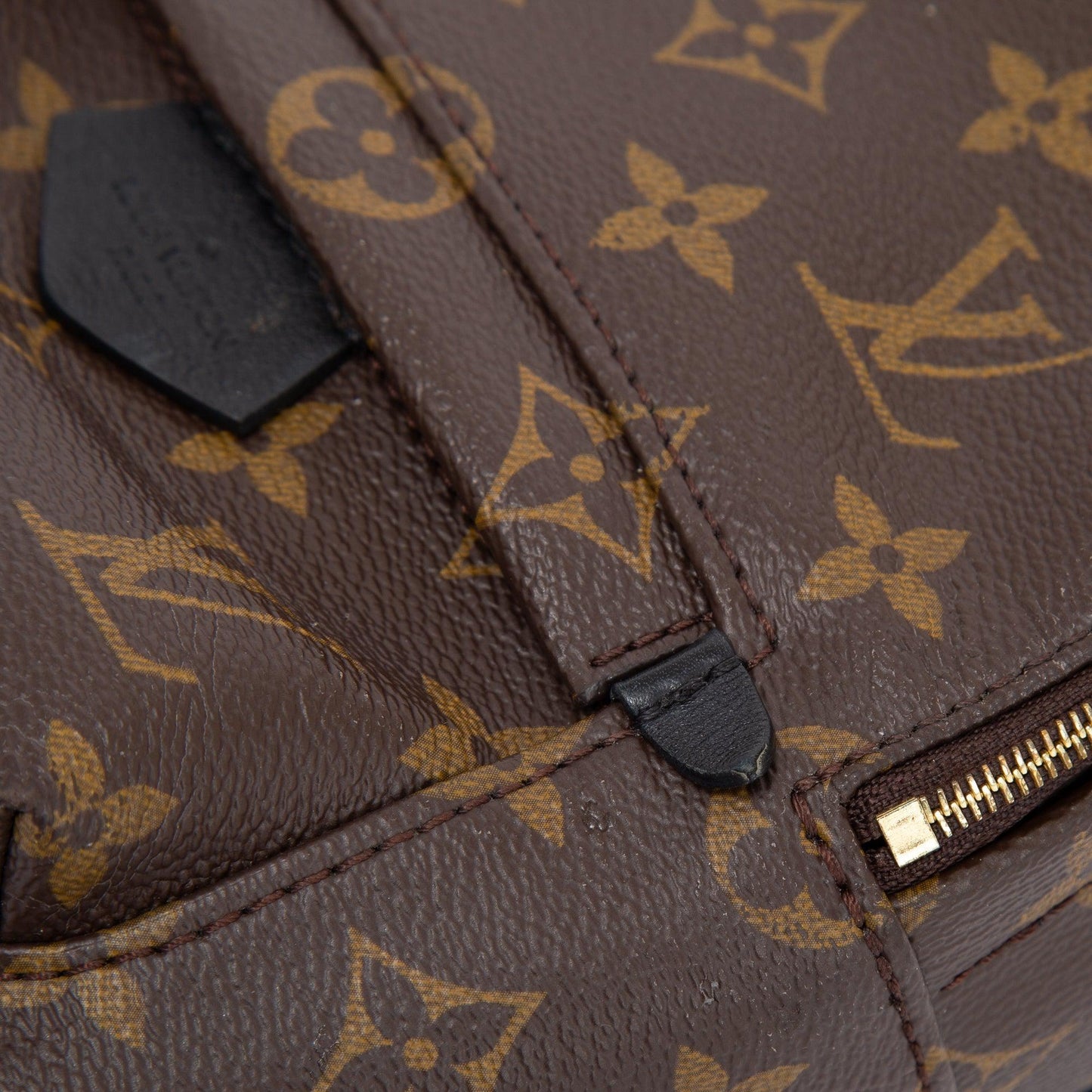 Louis Vuitton 2021 Monogram Palm Springs Mini Backpack