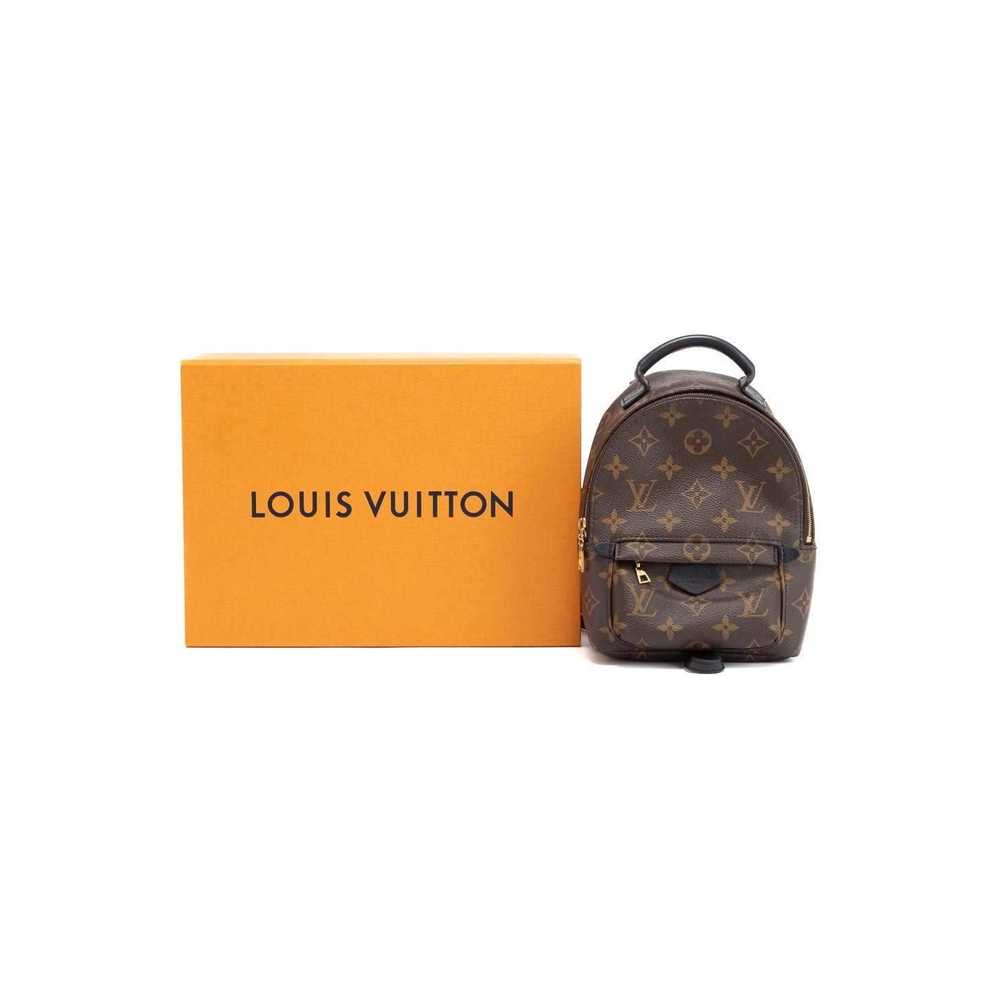 Louis Vuitton 2021 Monogram Palm Springs Mini Backpack