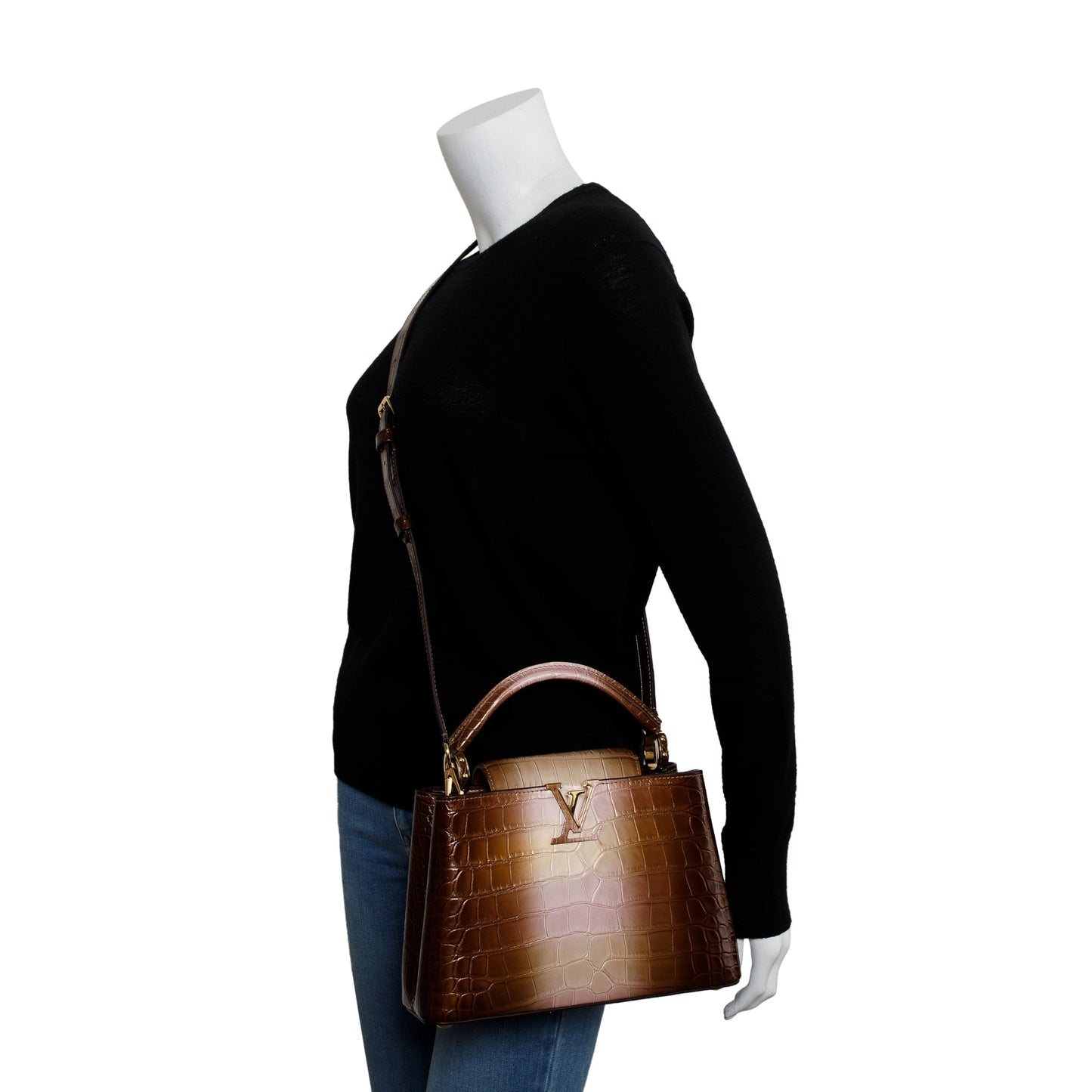 Louis Vuitton 2022 Brown/ Gold Alligator Ombre Capucines BB