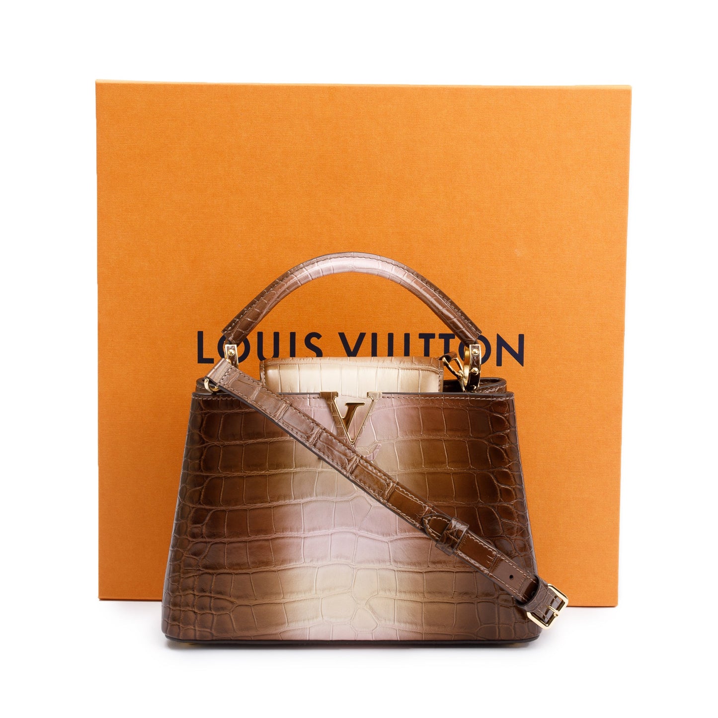 Louis Vuitton 2022 Brown/ Gold Alligator Ombre Capucines BB