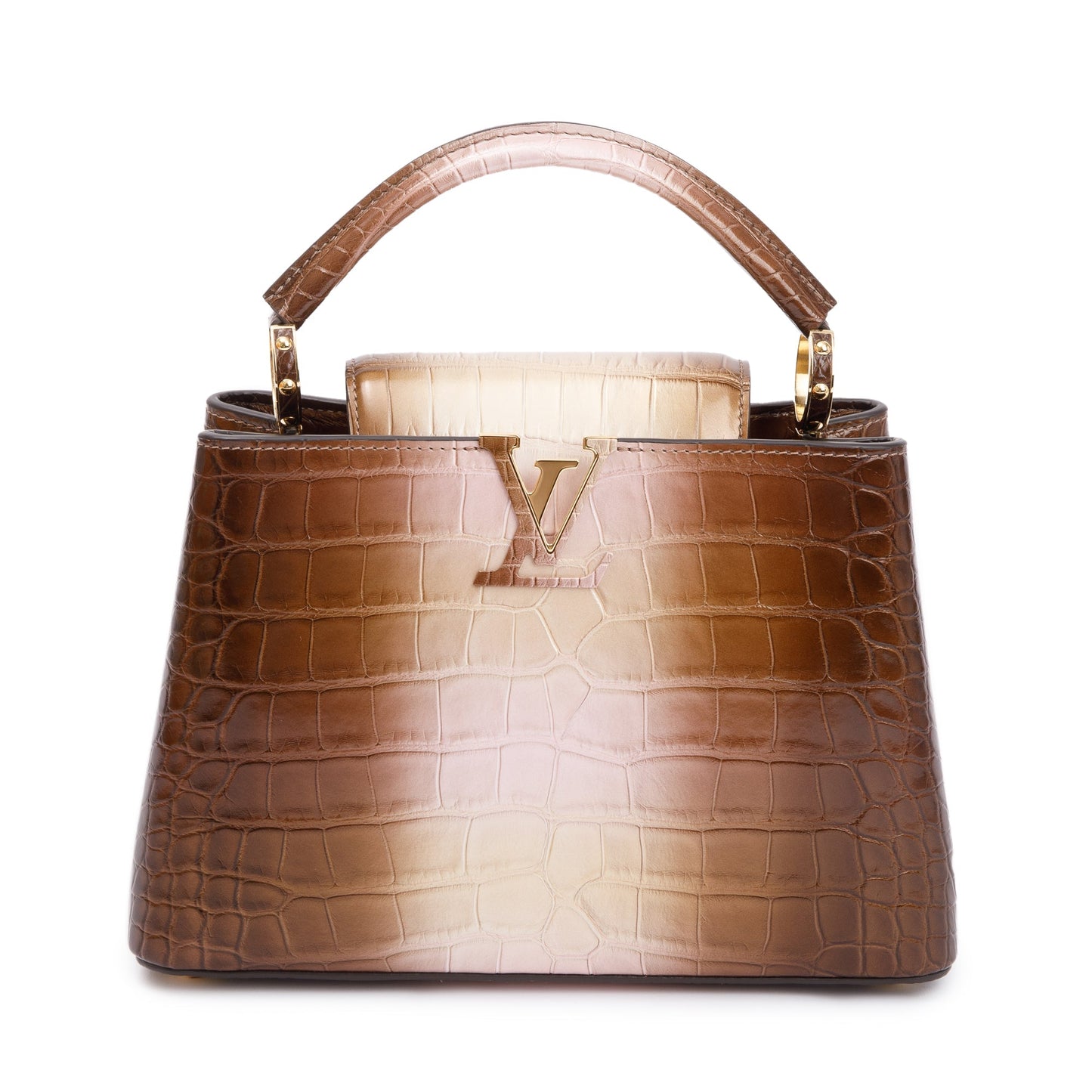 Louis Vuitton 2022 Brown/ Gold Alligator Ombre Capucines BB