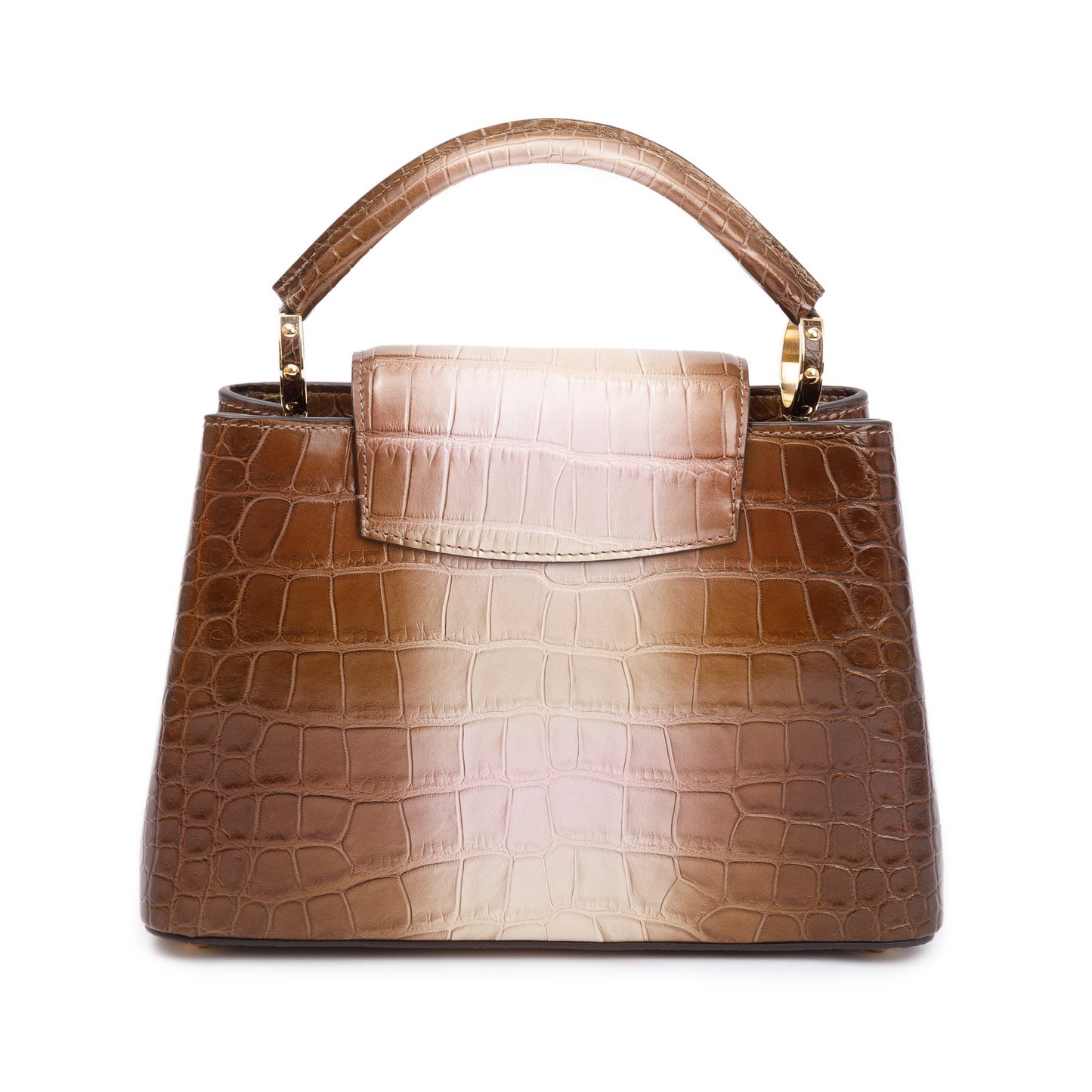 Louis Vuitton 2022 Brown/ Gold Alligator Ombre Capucines BB