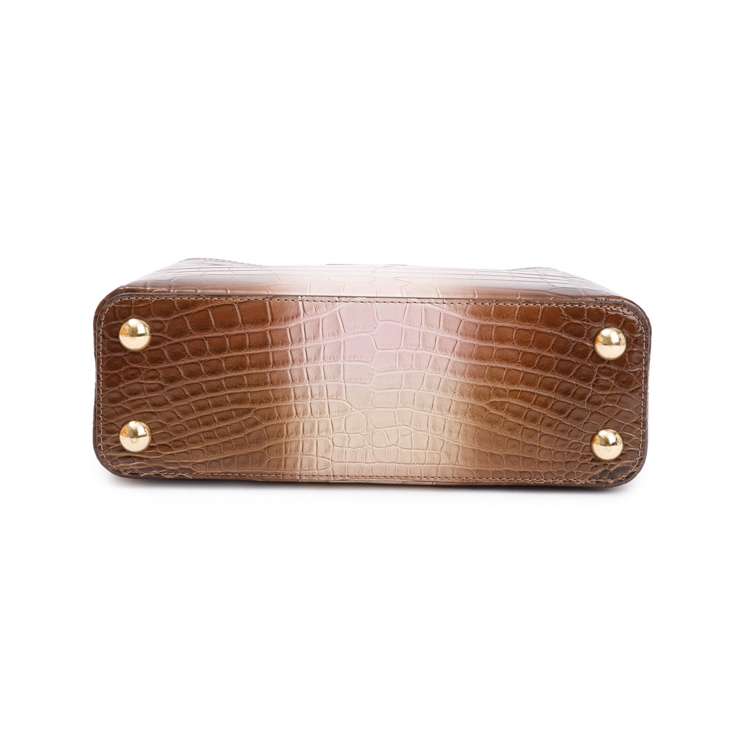 Louis Vuitton 2022 Brown/ Gold Alligator Ombre Capucines BB