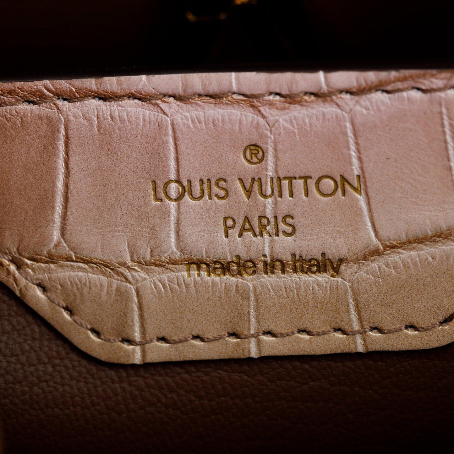 Louis Vuitton 2022 Brown/ Gold Alligator Ombre Capucines BB