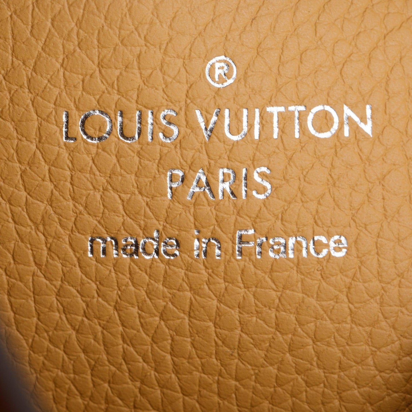 Louis Vuitton 2022 Brown Monogram Mahina Carmel Hobo Bag