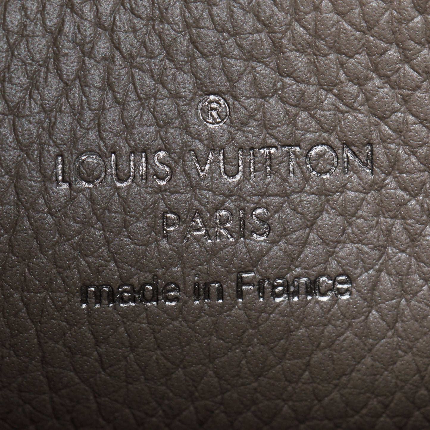 Louis Vuitton 2022 Grey Monogram Mahina Muria Bag