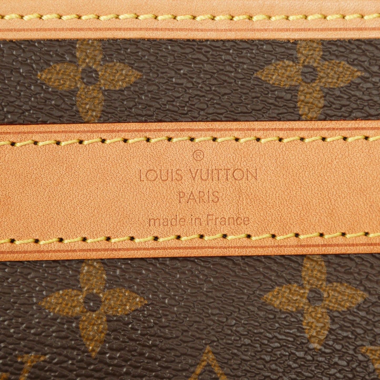 Louis Vuitton 2022 Monogram Dog Bag