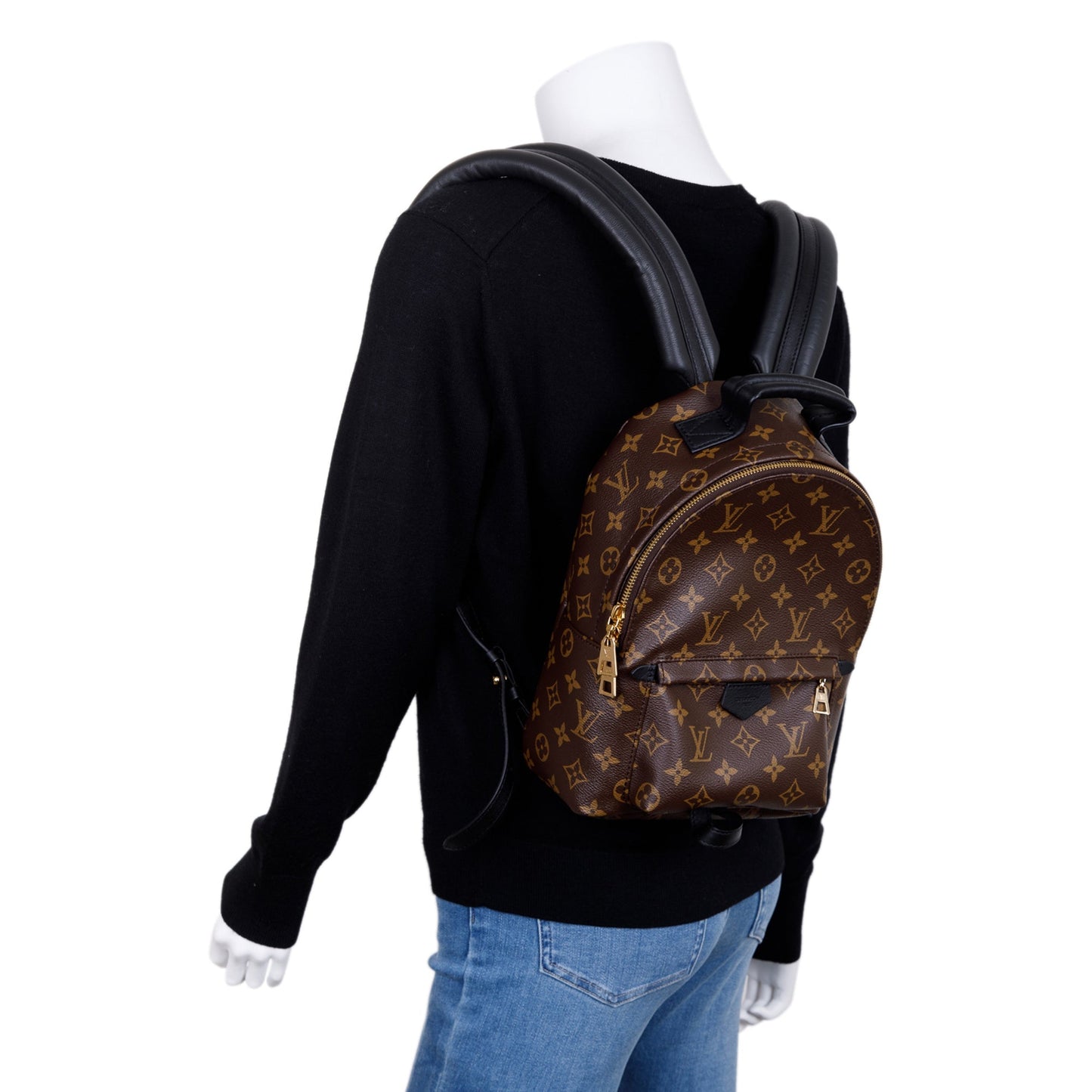 Louis Vuitton 2022 Monogram Palm Springs Backpack PM