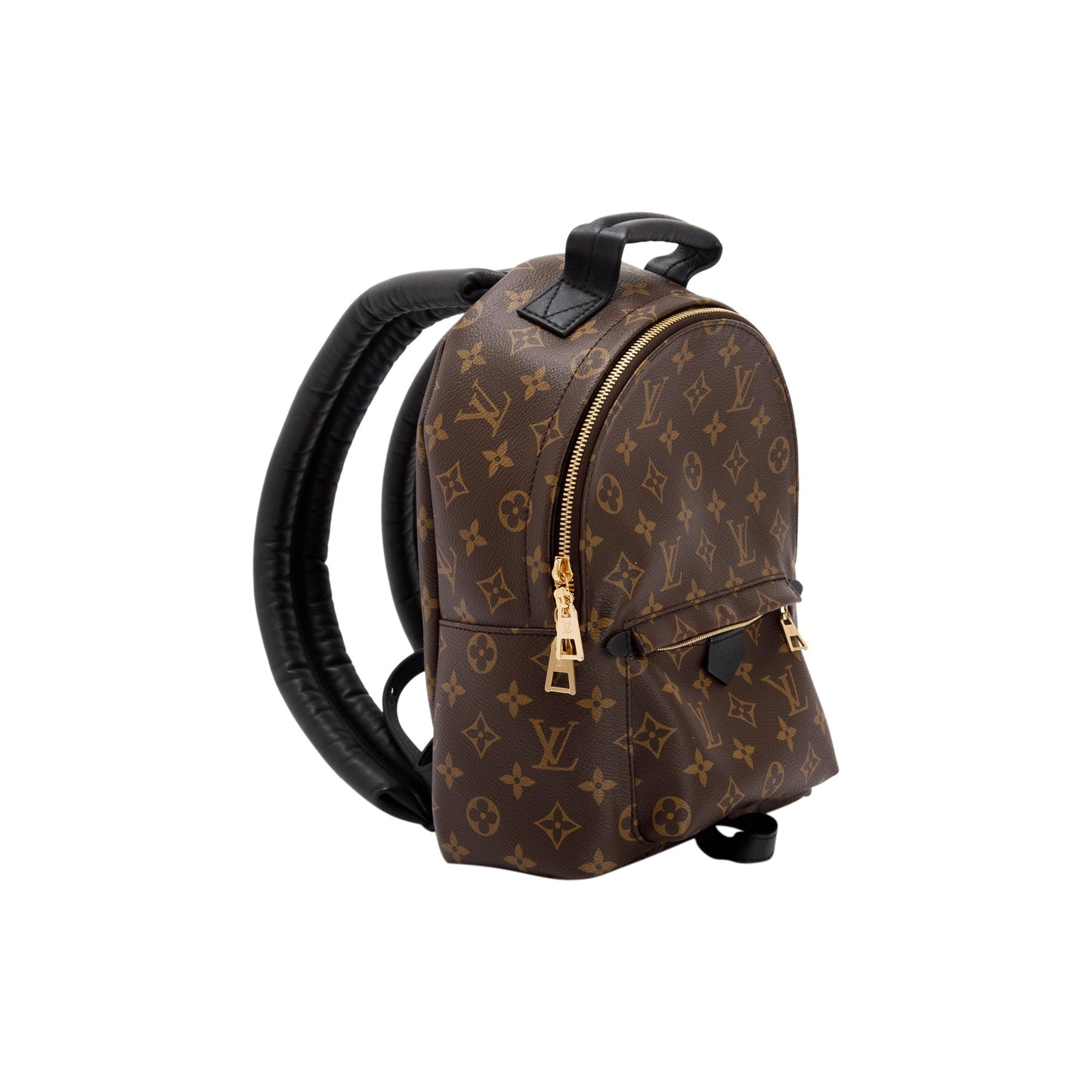 Louis Vuitton 2022 Monogram Palm Springs Backpack PM