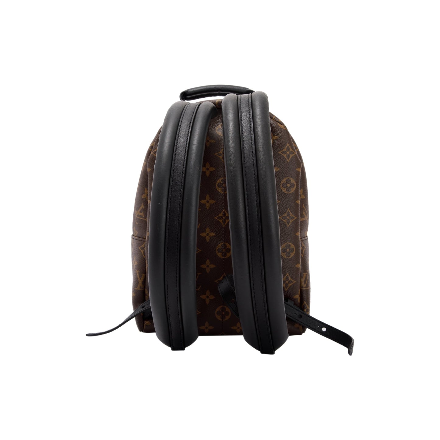 Louis Vuitton 2022 Monogram Palm Springs Backpack PM