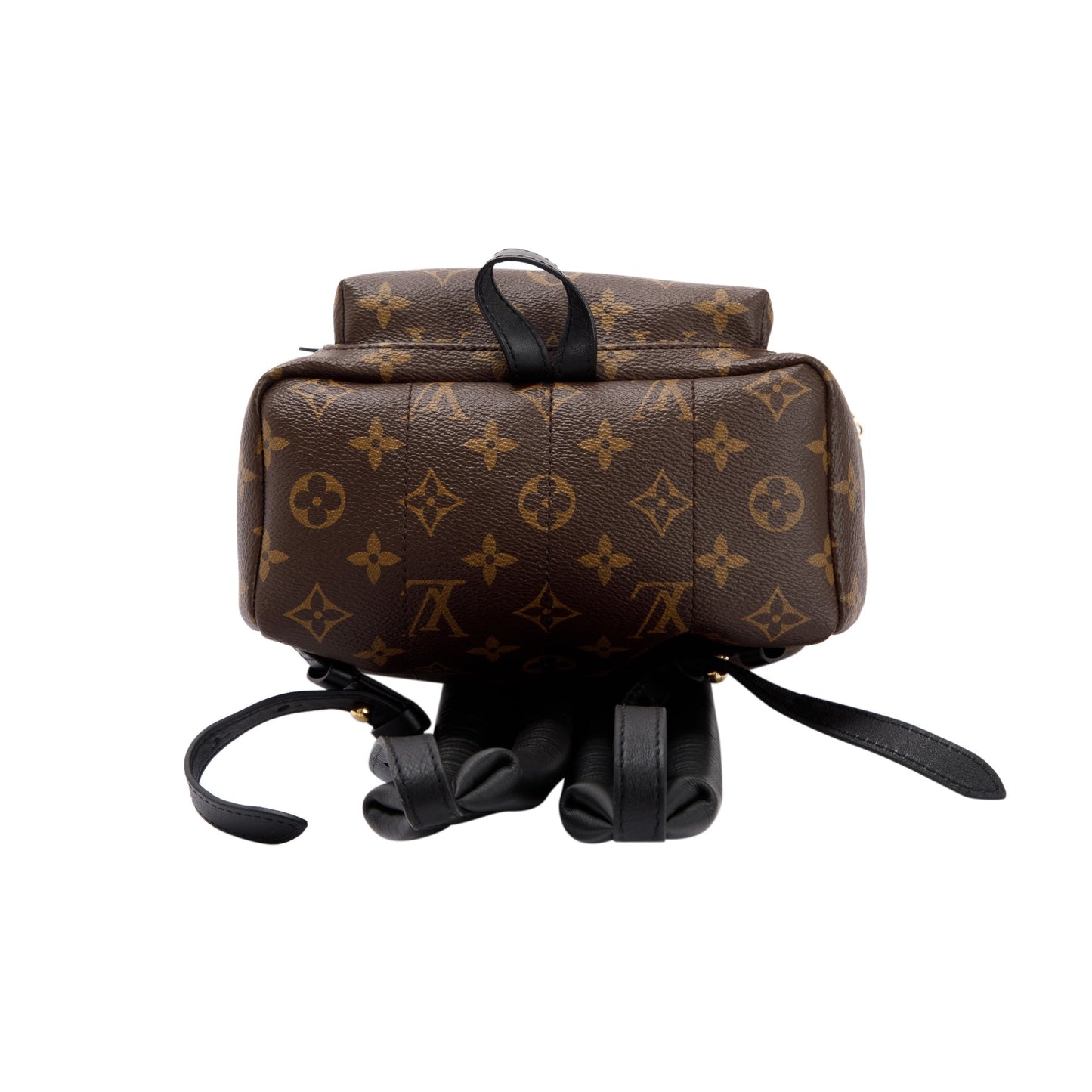Louis Vuitton 2022 Monogram Palm Springs Backpack PM
