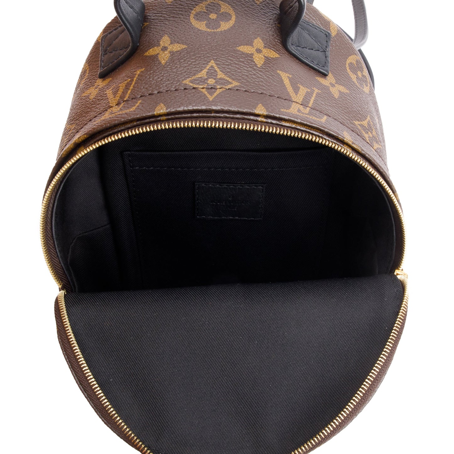 Louis Vuitton 2022 Monogram Palm Springs Mini Backpack