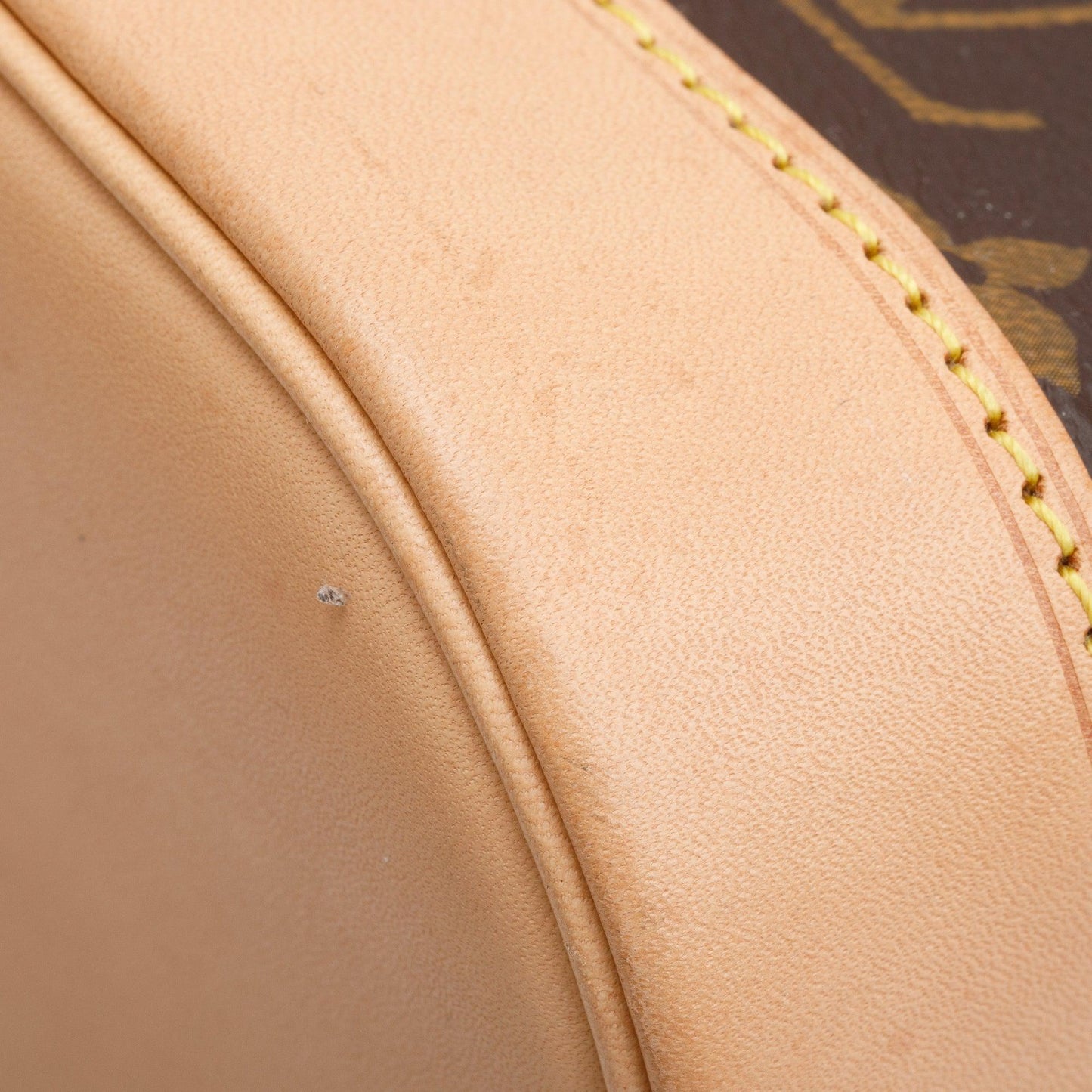 Louis Vuitton 2022 Monogram Petit Noe Bag