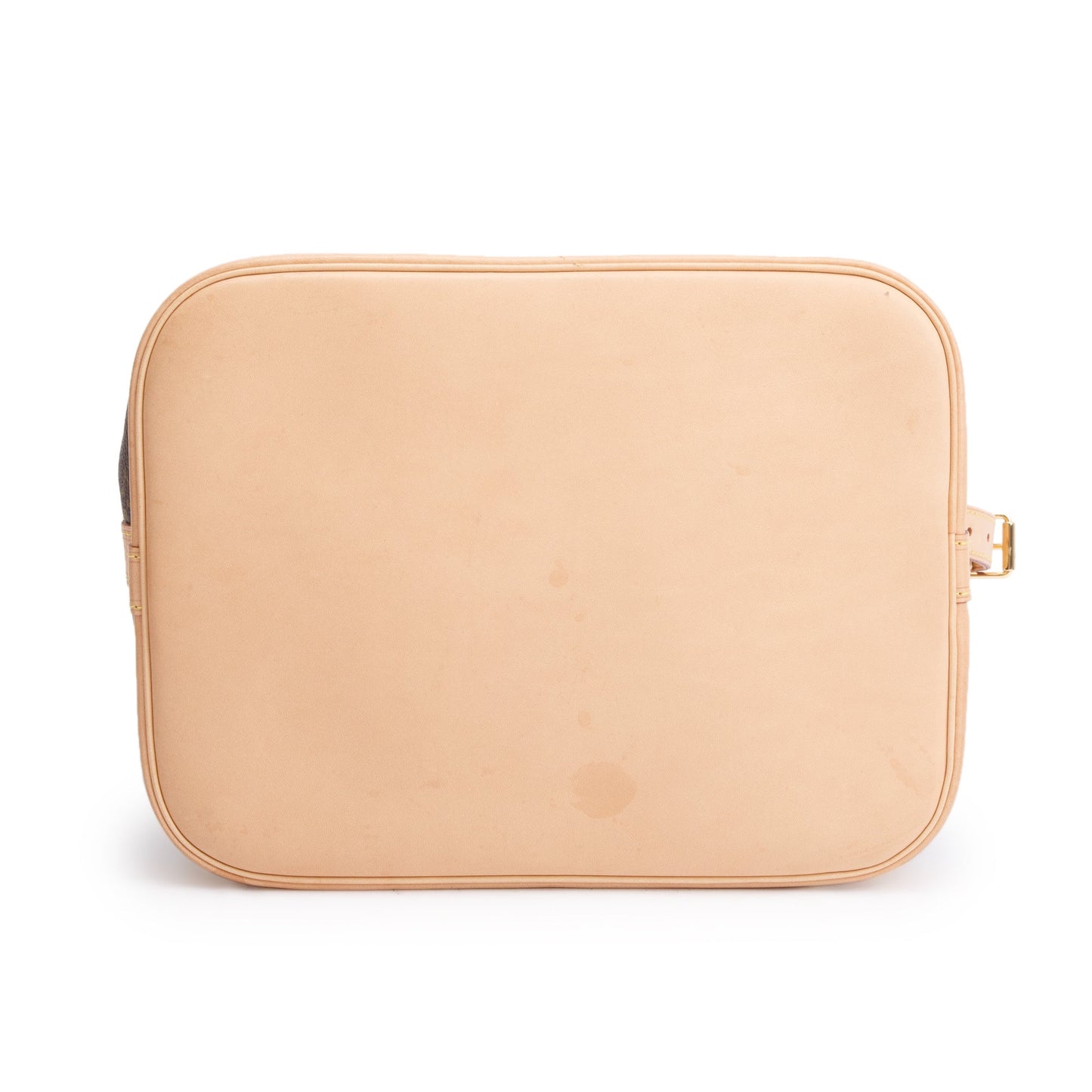 Louis Vuitton 2022 Monogram Petit Noe Bag