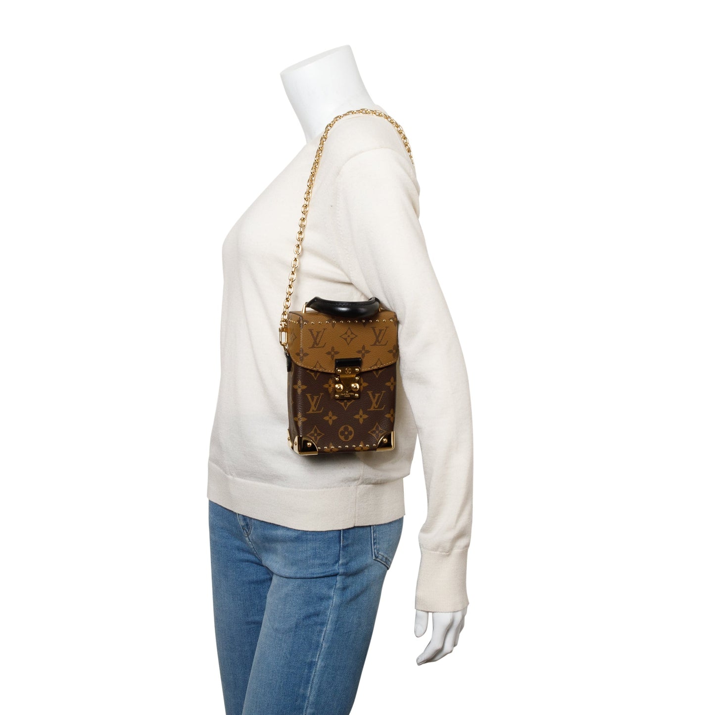 Louis Vuitton 2022 Reverse Monogram Camera Box