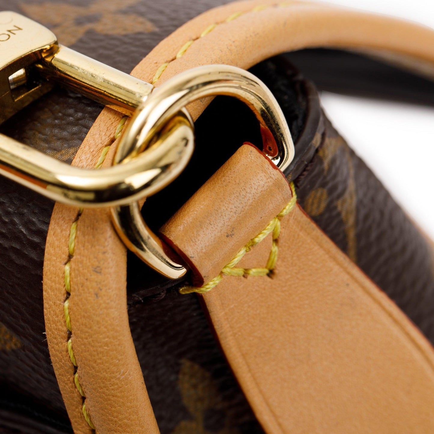 Louis Vuitton 2023 Monogram Diane PM