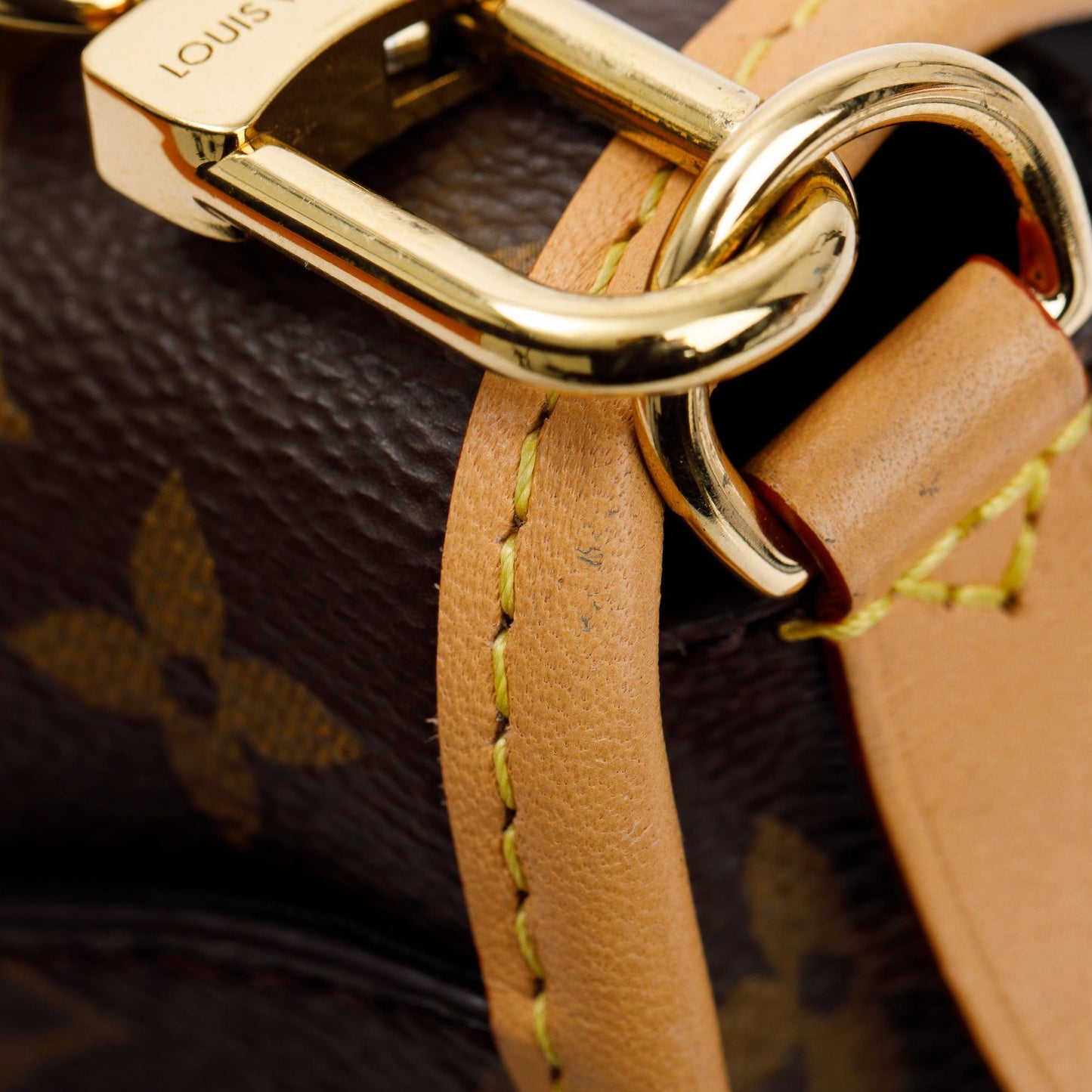 Louis Vuitton 2023 Monogram Diane PM