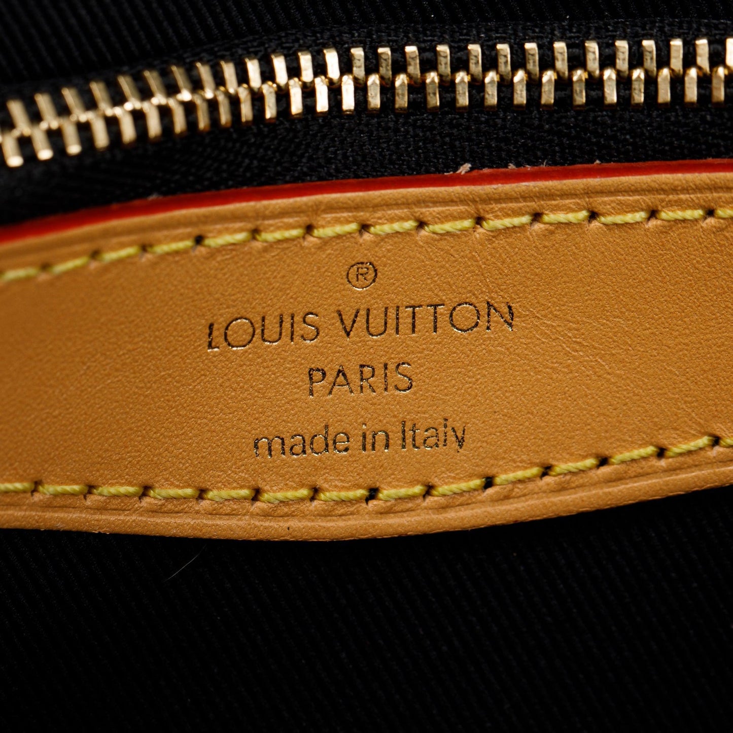 Louis Vuitton 2023 Monogram Diane PM