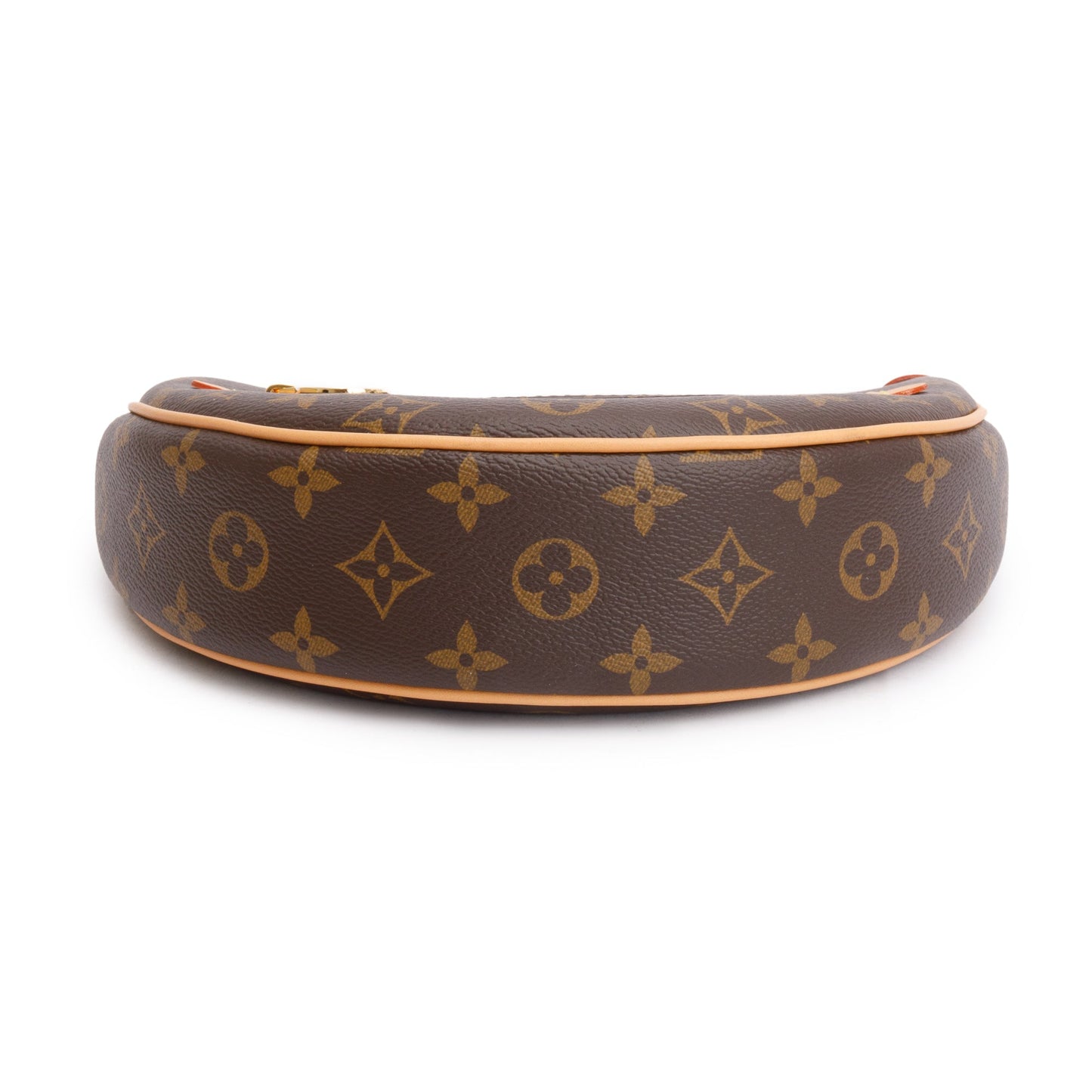 Louis Vuitton 2023 Monogram Loop Bag
