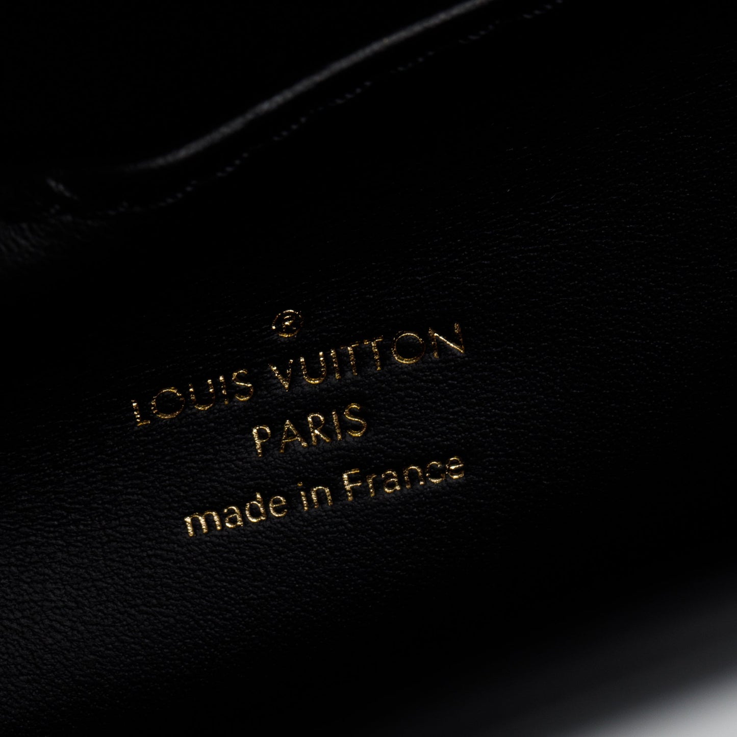 Louis Vuitton 2024 Black & White Cowhide Leather Around Me PM