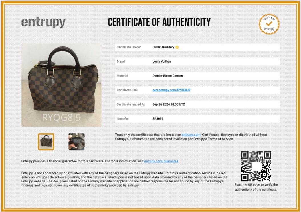 Louis Vuitton Damier Ebene Speedy 25