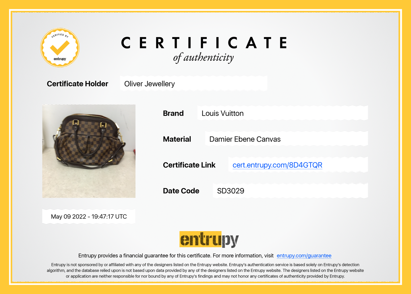 Louis Vuitton Damier Ebene Trevi PM
