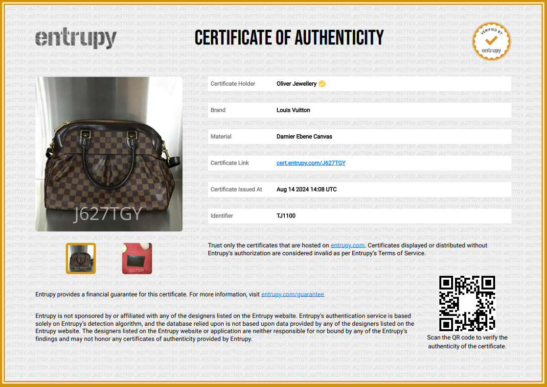 Louis Vuitton Damier Ebene Trevi PM