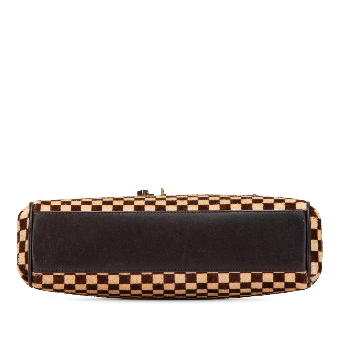 Louis Vuitton Damier Sauvage Lionne