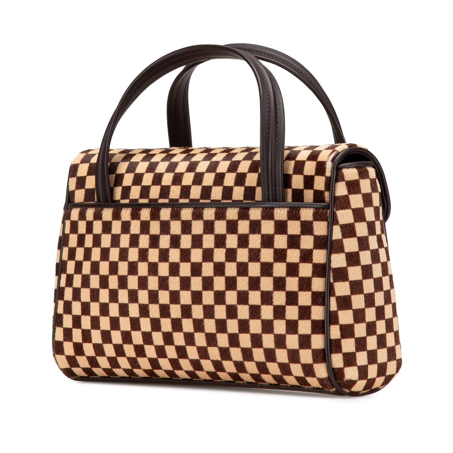 Louis Vuitton Damier Sauvage Lionne
